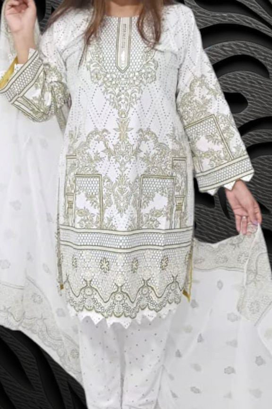 Best Embroidery Pakistani Dress